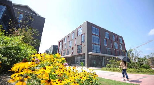 28亿软件服务外包市场 行业趋势与前景展望