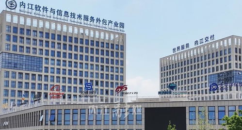 27.2亿元！内江服务外包产业迈上新台阶，计算机网络维护成关键引擎